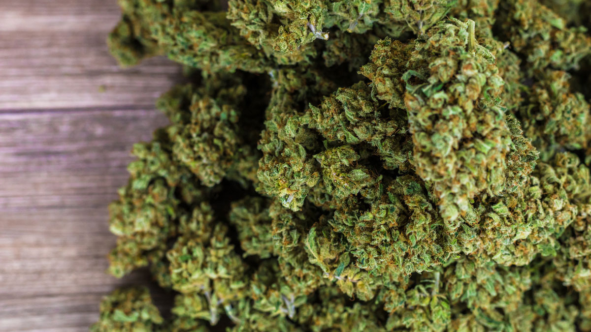 A close up view of Austin THCa Flower on a table.