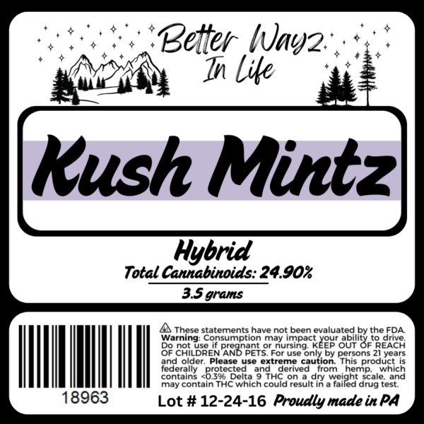 Kush Mintz - Image 2