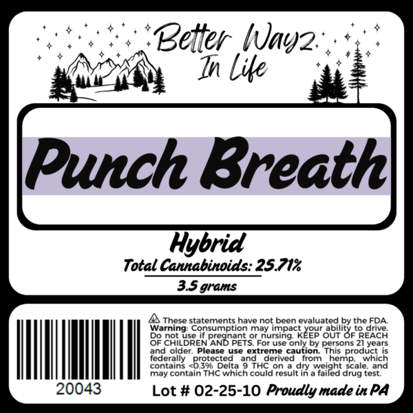 Punch Breath - Image 2